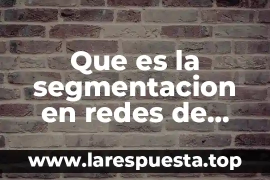 Qué es DDT en arquitectura de computadoras 5 Que es la segmentacion en redes de computadoras