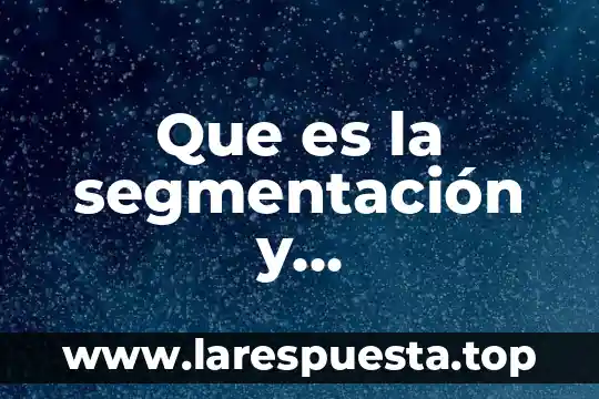 Que es la segmentación y diferenciacion de las personas
