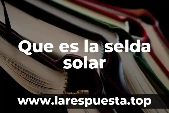 Rupción polimorfa lumínica y la urticaria solar que es 7 Que es la selda solar
