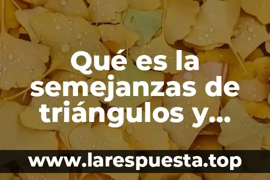Qué es la semejanzas de triángulos y sus ejemplos