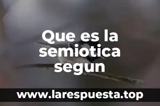 Qué es lo concreto según el autor 8 Que es la semiotica segun