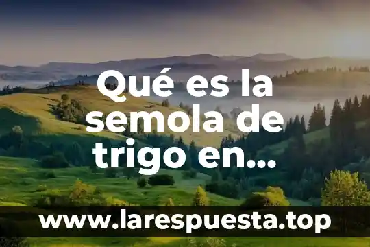 Qué es la semola de trigo en México