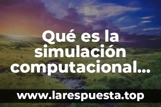 Qué es una simulación física 5 Qué es la simulación computacional de procesos