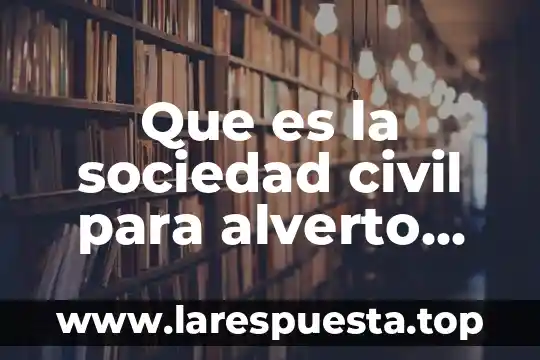 Que es la sociedad civil para alverto olvera