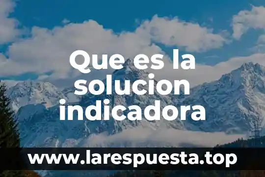 Que es la solucion indicadora