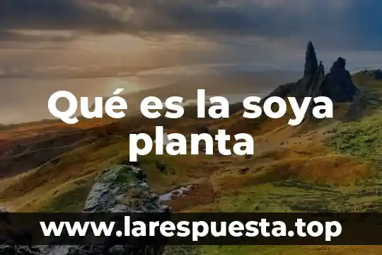 Qué es la soya planta