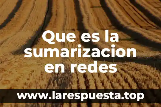 Qué es bicsi en redes 5 Que es la sumarizacion en redes