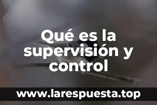 Que es un circulo literario ejemplo 3 Qué es la supervisión y control