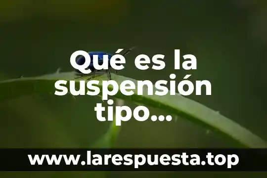 Que es una ventana tipo persiana 8 Qué es la suspensión tipo McPherson