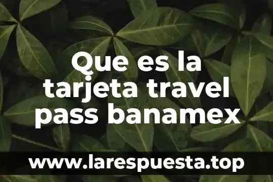 Que es la tarjeta travel pass banamex