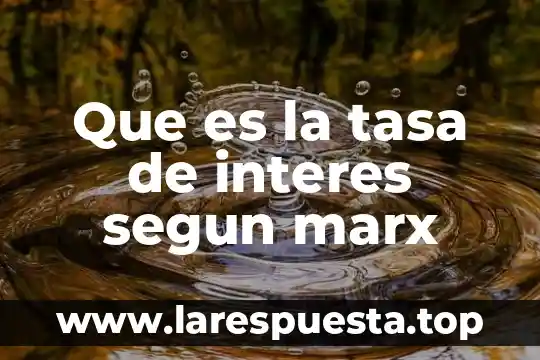 Que es la tasa de interes segun marx