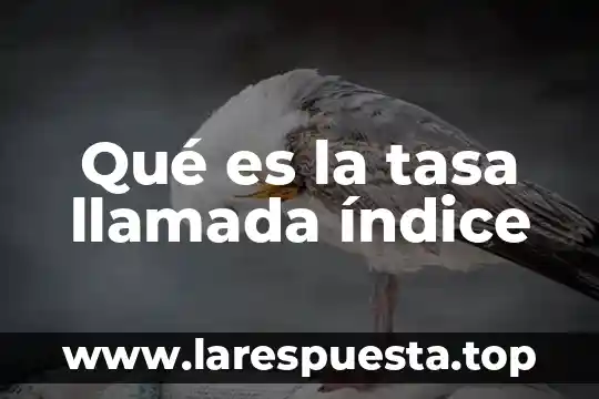 Qué es la tasa llamada índice