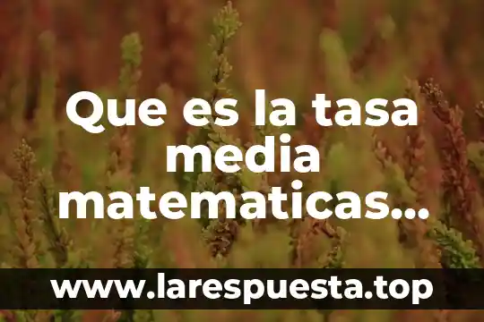 Que es la tasa media matematicas financieras