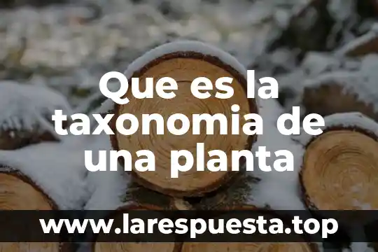 Que es la taxonomia de una planta
