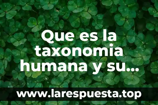 Qué es el proceso grupal en trabajo social 6 Que es la taxonomia humana y su proceso