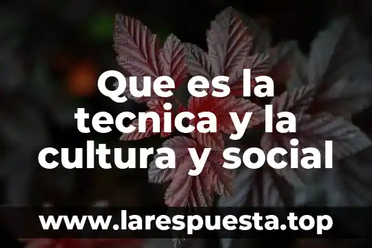 Que es la tecnica y la cultura y social