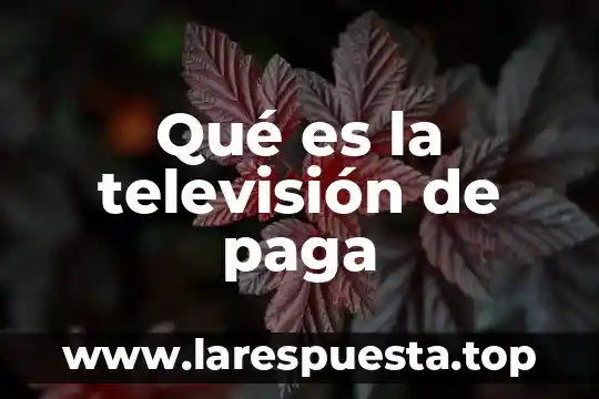 Qué es la televisión de paga