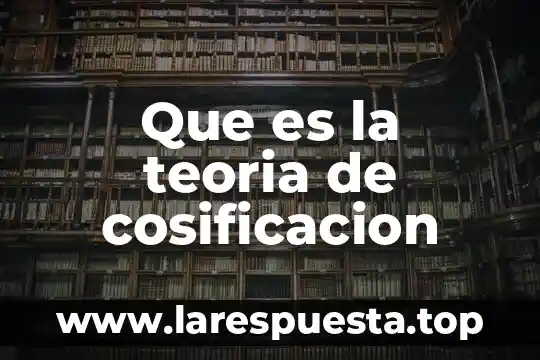 Que es la teoria de cosificacion