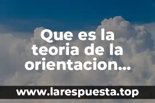 De que es la teoria de paciolo 6 Que es la teoria de la orientacion sexual hormonal