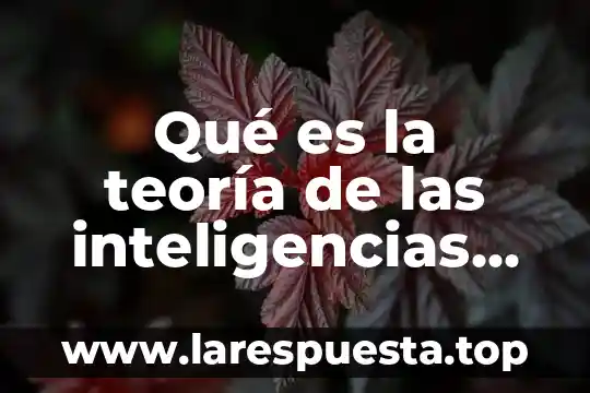 Que es un centro de aprendizaje de inteligencias multiples 4 Qué es la teoría de las inteligencias múltiples