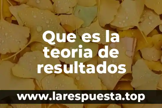 Que es lo que lleva los resultados de un proyecto 6 Que es la teoria de resultados