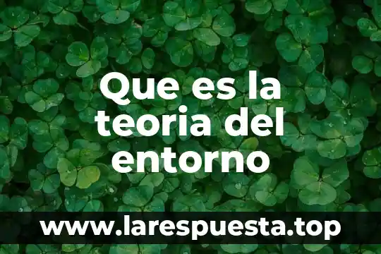Que es la etica en mi entorno 5 Que es la teoria del entorno