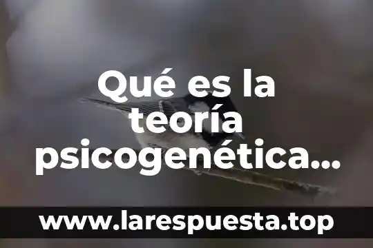 Qué es la teoría psicogenética de Jean Piaget