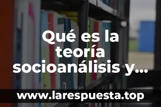 Qué es la teoría socioanálisis y sus etapas