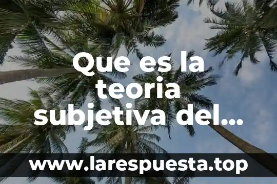 Que es la teoria subjetiva del derecho