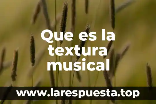 Qué es musical chair 3 Que es la textura musical