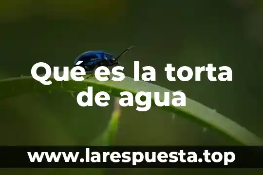 Qué es la torta de agua