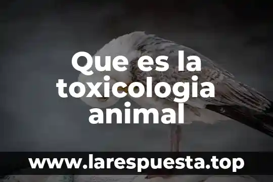 Que es la toxicologia animal