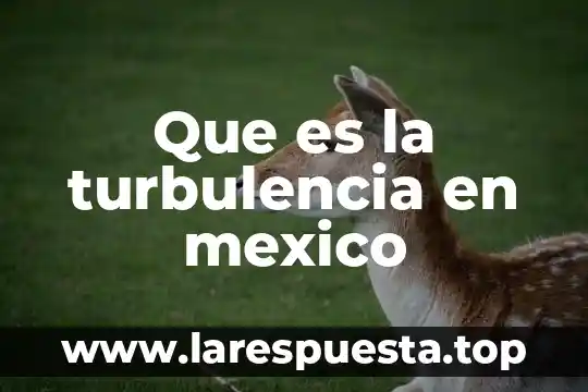 Que es la turbulencia en mexico