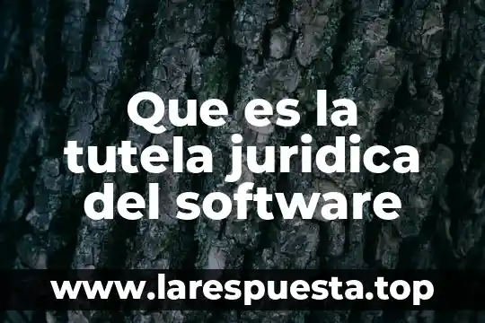 Que es falta de cndicones objetivas enciclopedia juridica 4 Que es la tutela juridica del software