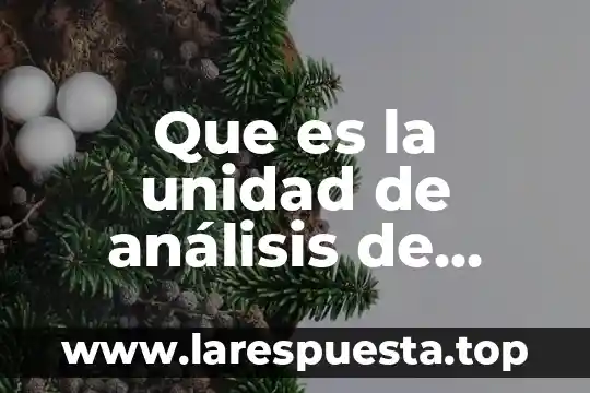 Que es la unidad de análisis de medicion planea primaria
