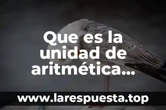 Que es la unidad de aritmética lógica