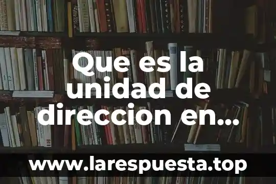 Que es una unidad de salud mental 5 Que es la unidad de direccion en administracion de empresas