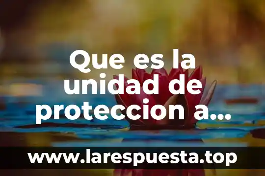 Que es unidad estadistica 6 Que es la unidad de proteccion a migrantes