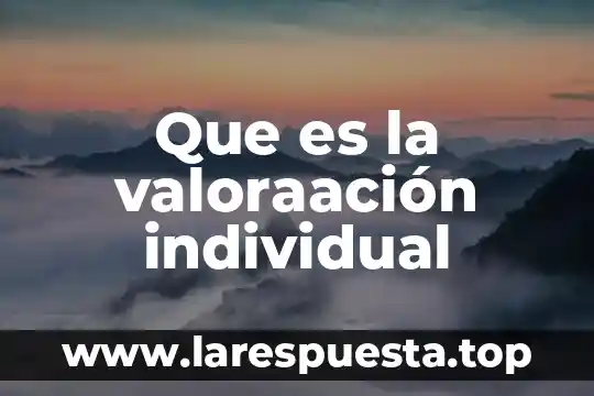 Que es la valoraación individual