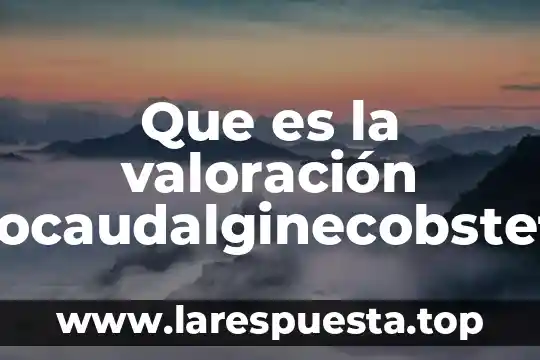 Que es la valoración cefalocaudalginecobstetricia