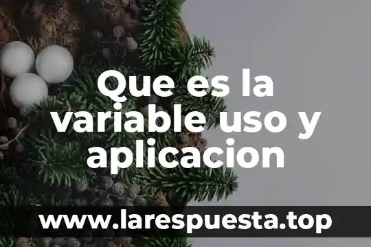 Que es el valor del uso 6 Que es la variable uso y aplicacion