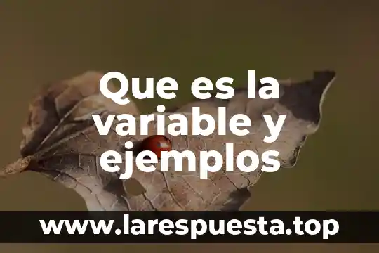 Que es la variable y ejemplos