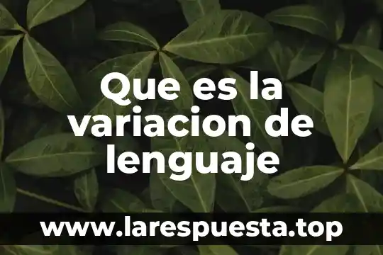 Que es la variacion de lenguaje