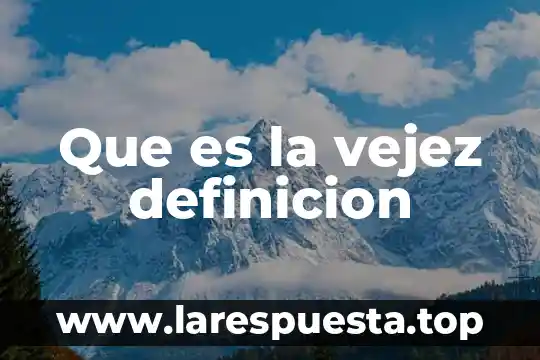 Que es la vejez definicion