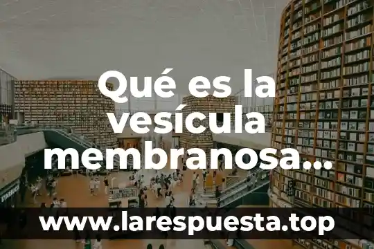Qué es la vesícula membranosa de la célula vegetal