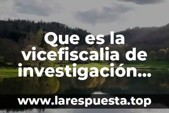 Zacatecas por que es rosa 3 Que es la vicefiscalia de investigación en estado zacatecas