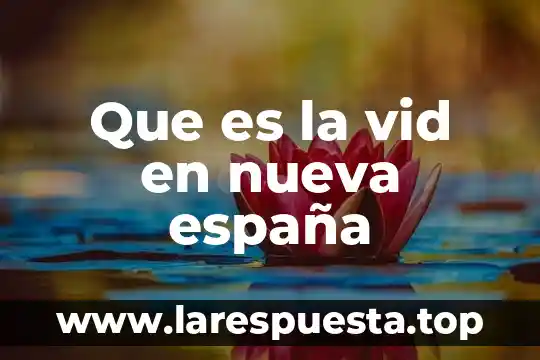 Que es la vid en nueva españa