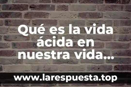 Por que es importante la filosofia en nuestra vida diaria 5 Qué es la vida ácida en nuestra vida cotidiana