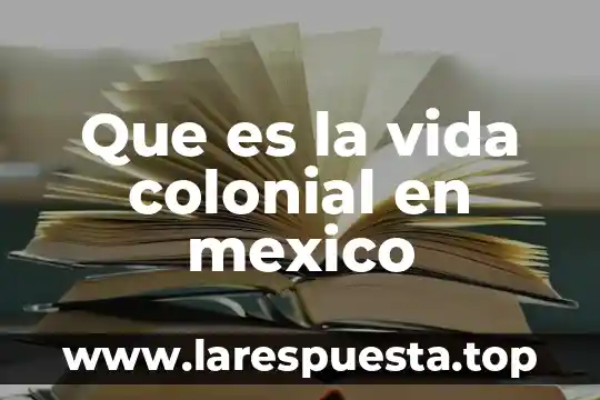 Que es el magisterio en méxico 6 Que es la vida colonial en mexico