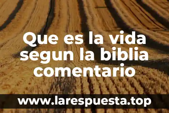 Que es la vida segun la biblia comentario